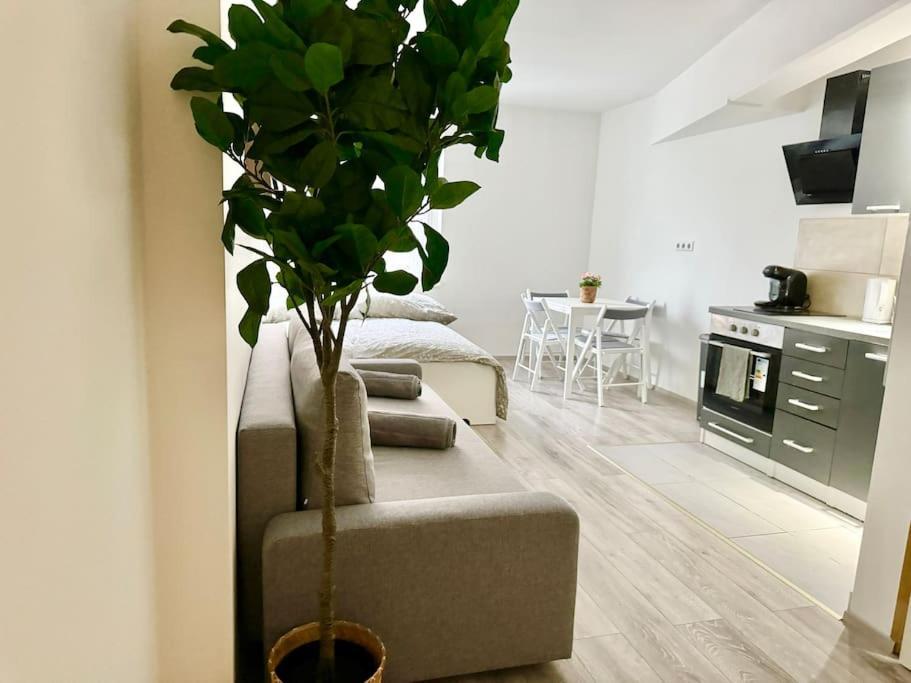 Stylish Schonbrunn Apartments With Free Parking Wiedeń Zewnętrze zdjęcie